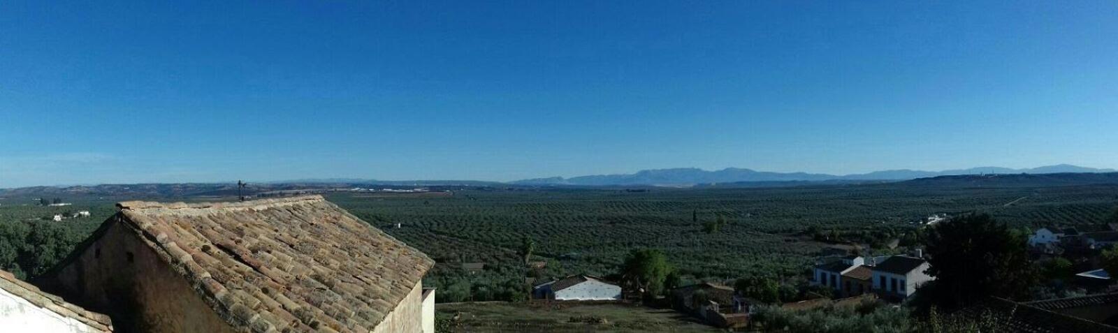 Casa Rural Verde Oliva Banos De La Encina Luaran gambar